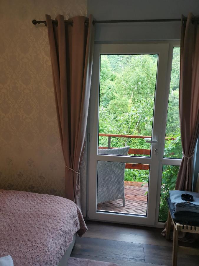 Chic Boutique Apart Sinaia Dış mekan fotoğraf